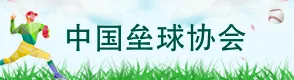 中国垒球协会